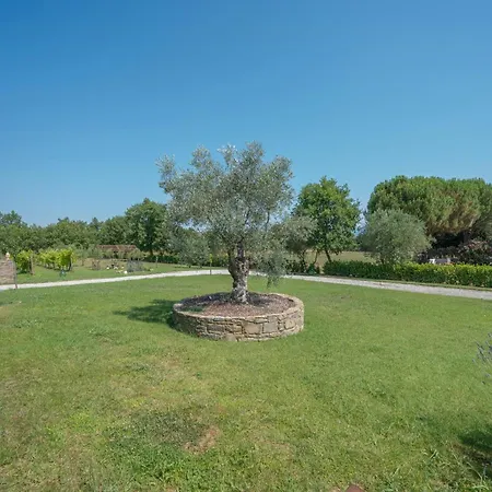 Будинок відпочинку Private With Pool On Vineyards *