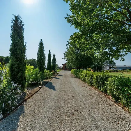 Private With Pool On Vineyards Feriehus Cortona
