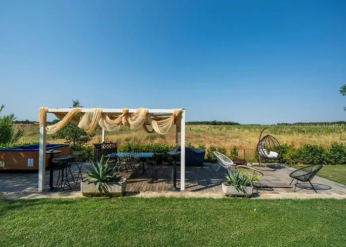 Holiday home Private With Pool On Vineyards Cortona