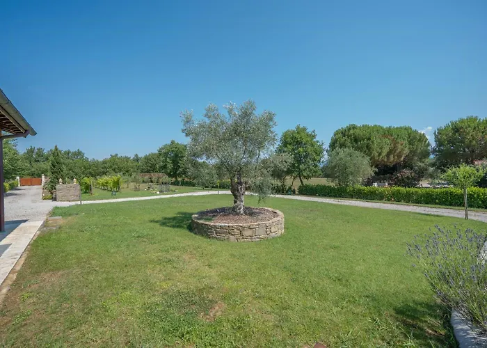 Holiday home Private With Pool On Vineyards *