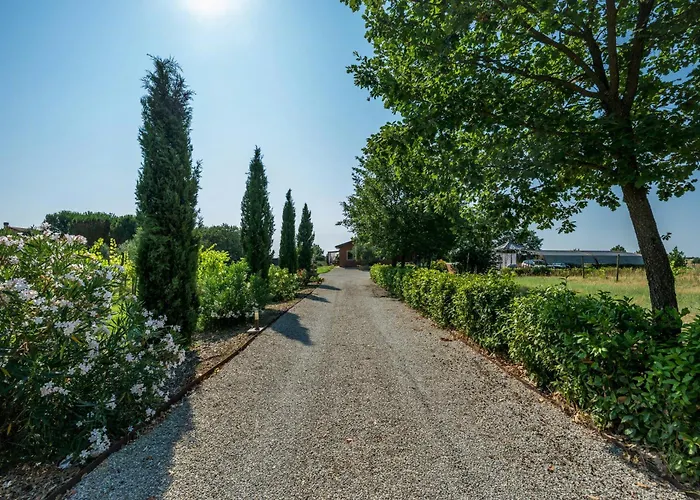 Private With Pool On Vineyards Feriehus Cortona